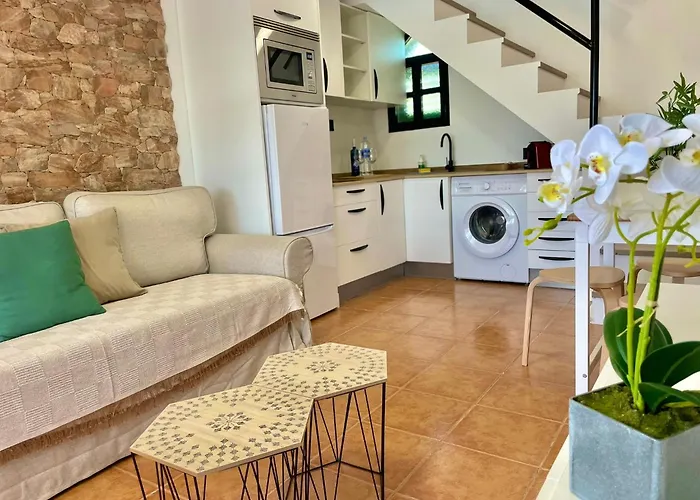 Dunaflor Verde 8 By Sunhousescanarias